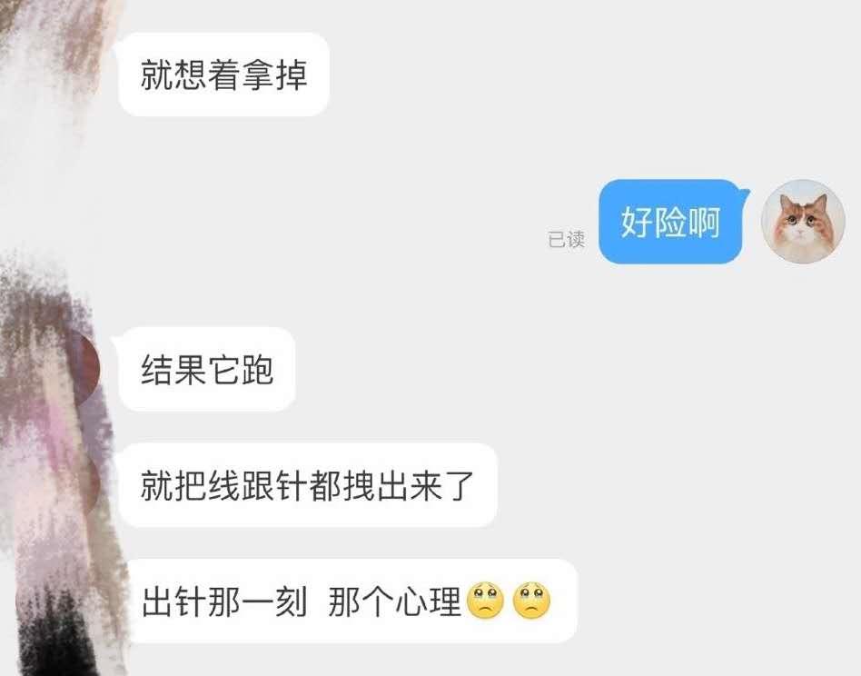 “我居然从猫屁股拽出了一根针！太可怕了！”