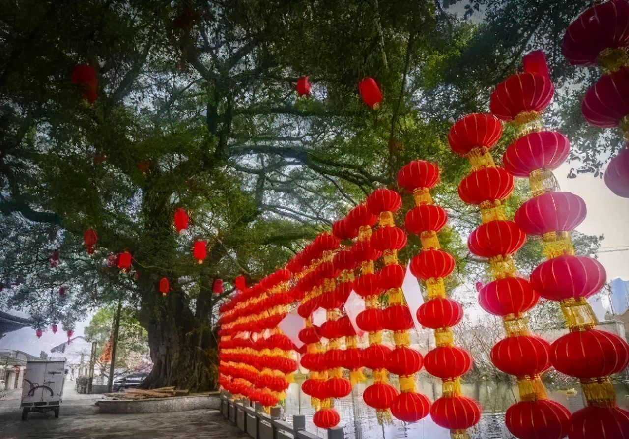 平阳最值得一去的地方,平阳一日游最佳去处青街