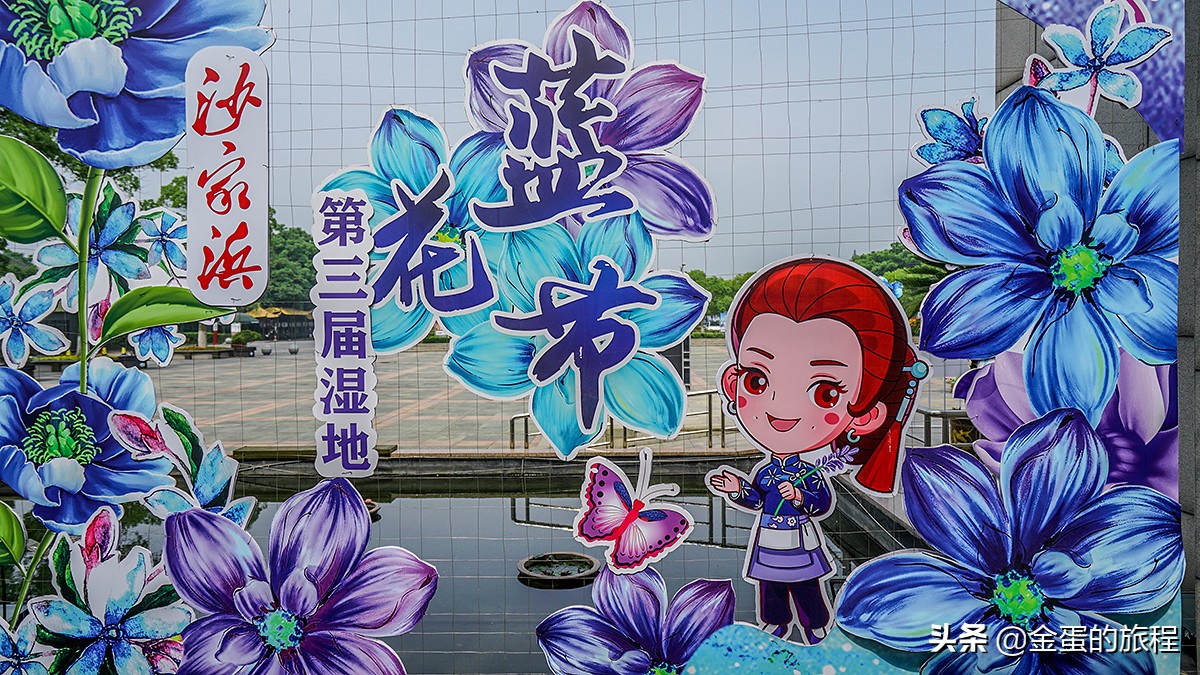 苏州旅游沙家浜,人人都知江南好下一句