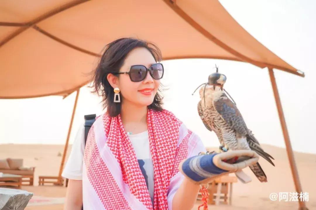 迪拜跳伞攻略图,迪拜高空跳伞攻略