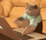 送520的走心礼物,送520的礼物送什么好