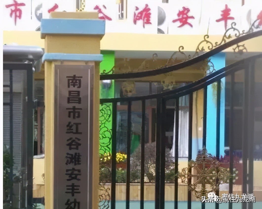 九龙湖有私立幼儿园,九龙湖什么幼儿园最好