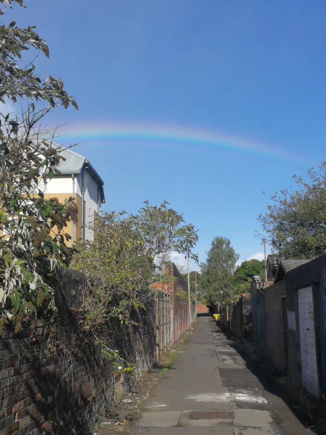 世界一流研究型院校丨英国卡迪夫大学