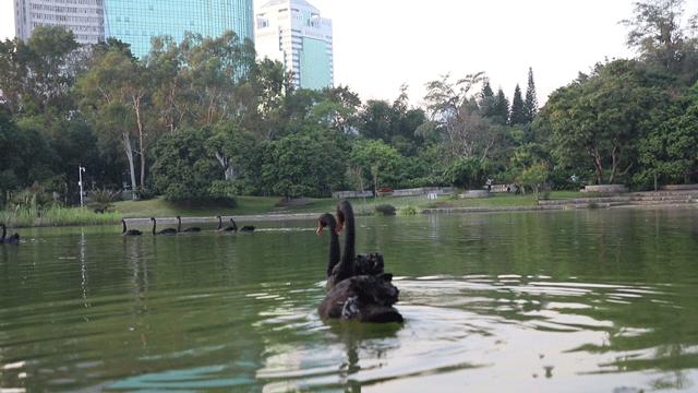 深圳大学游玩攻略一日游,深圳大学打卡攻略
