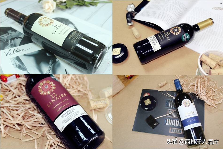 走进葡萄酒专卖店,走进葡萄酒庄园视频