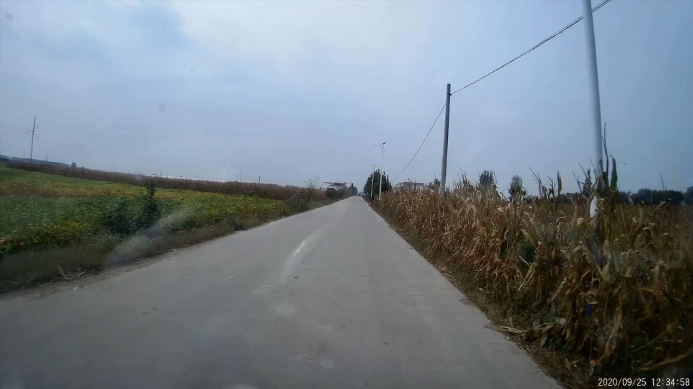 俞伯牙墓为什么在固镇,俞伯牙墓出土