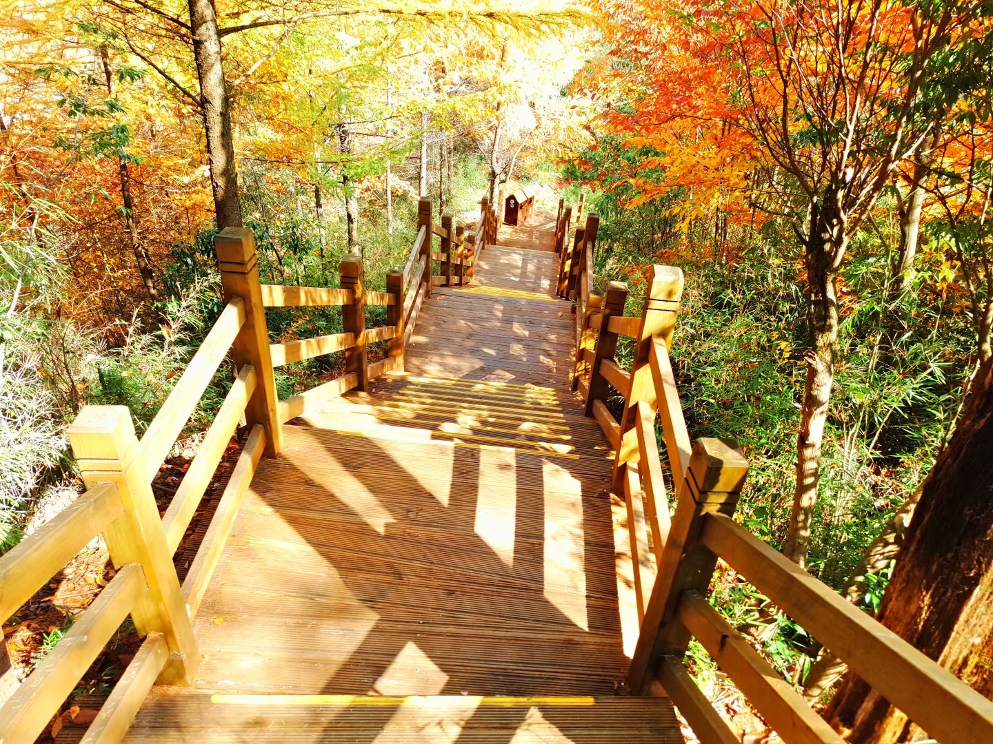 行摄山水视频大全,行摄美景