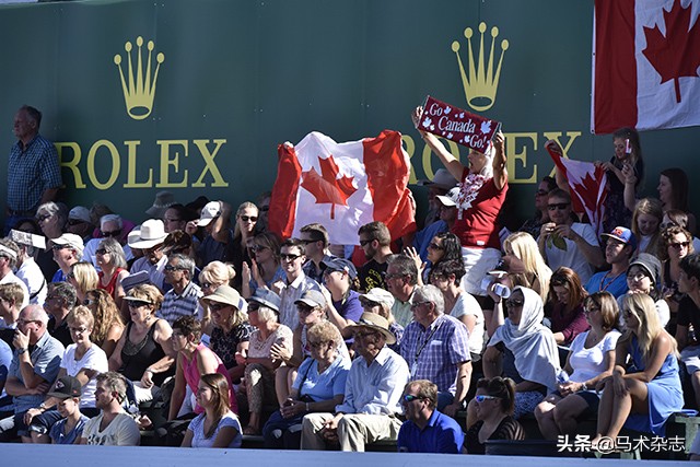 什么!听说几天后云杉草地将会上演一场冠军“厮杀”?