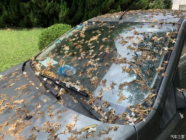 夏天高温保护车漆办法,汽车夏天暴晒怎么保护车漆