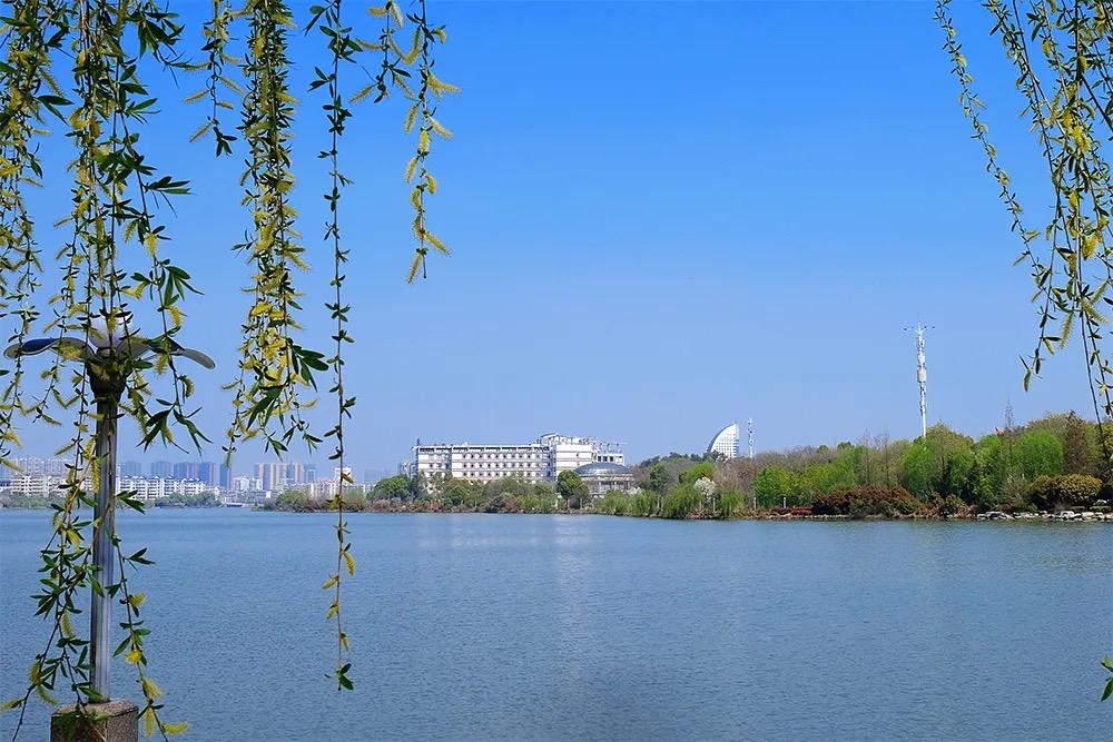 湖北一所学院即将更名为大学,湖北一类高校