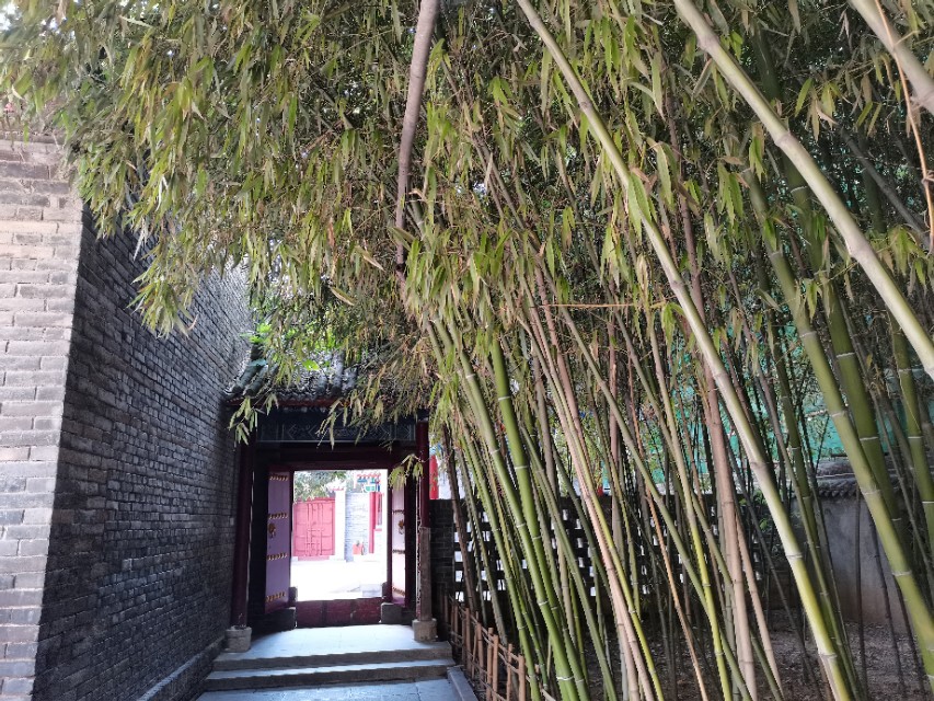 罔极寺巷,罔极寺是尼姑庵吗