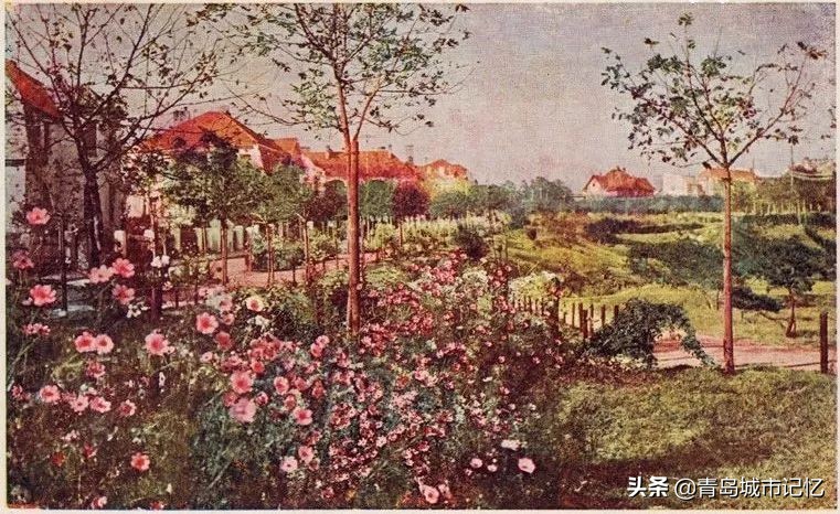 青岛八大风景区都有哪,青岛最美的十大公园