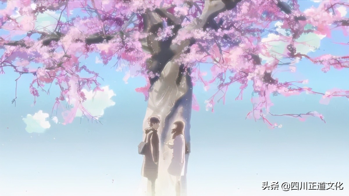 值得看的电影春天,春天的电影名字