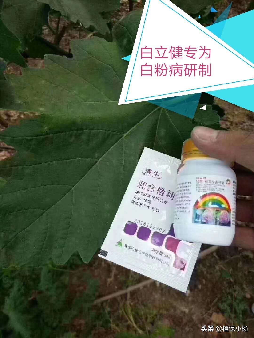哈茨木霉菌枯草芽孢杆菌能混用么,哈茨木霉菌和枯草芽孢杆菌配比