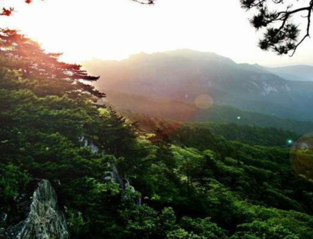 南召宝天曼地质公园,宝天曼内乡地质公园