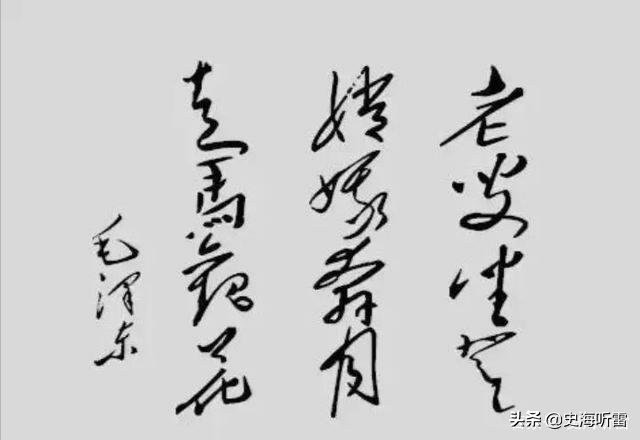 尼克松访华时毛*东泽**回赠他四件礼物，一件尼克松嫌少，三件看不懂