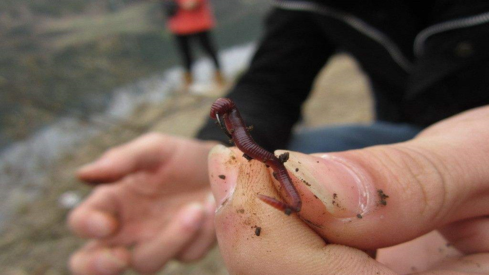 古代钓鱼都用什么钓,古人钓鱼装备