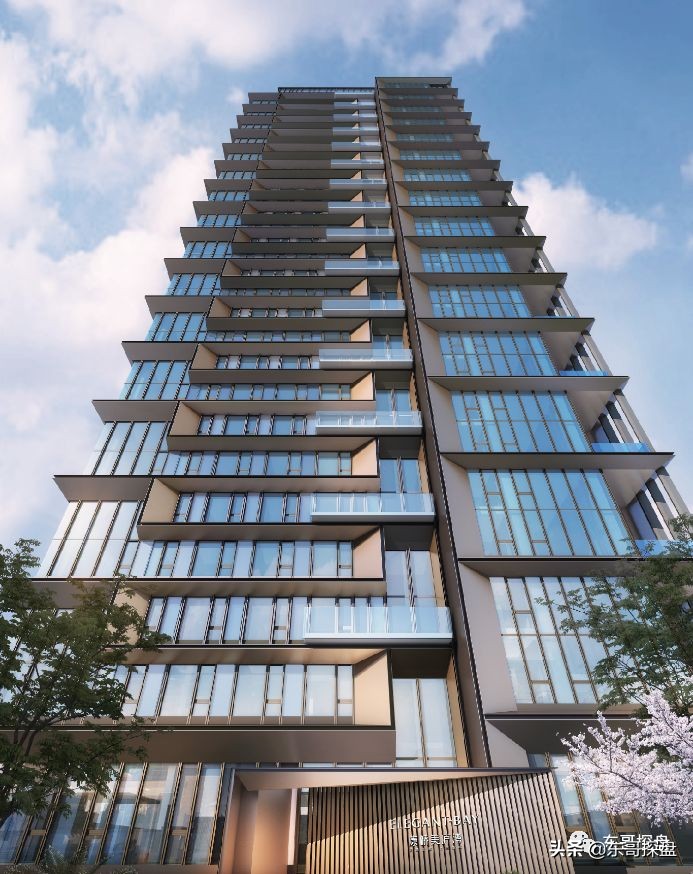 叱咤国际的豫籍金领，归郑置业为何不首选北龙湖？