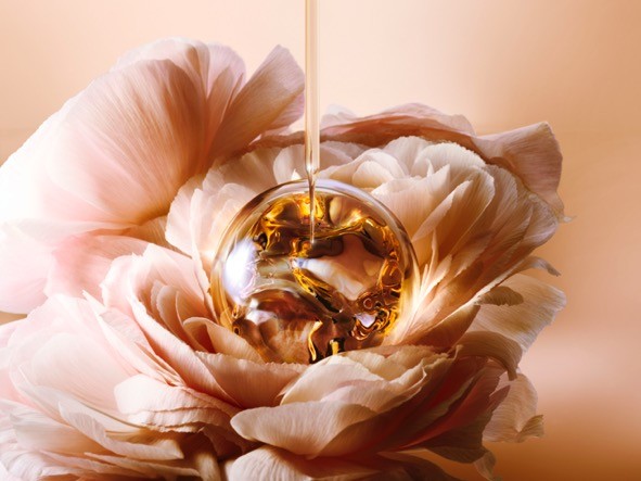 全新兰蔻淡纹精华,全新兰蔻安瓶精华