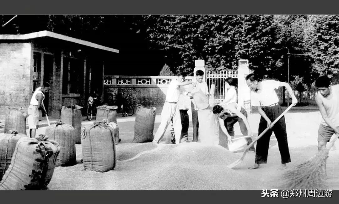 郑州大学原工学院现状,郑州大学工学院