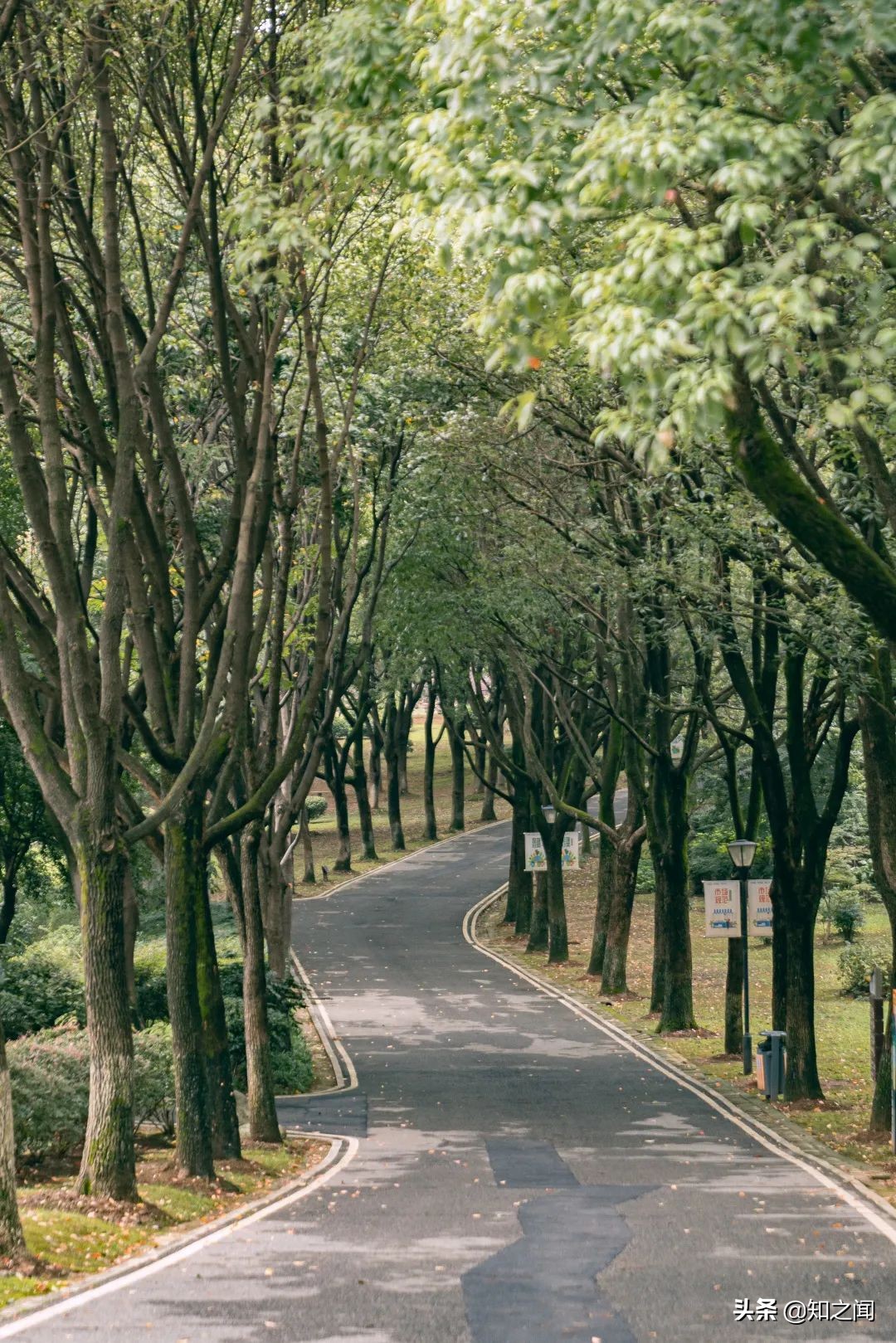 中国车谷，别低调了！你真的很OK