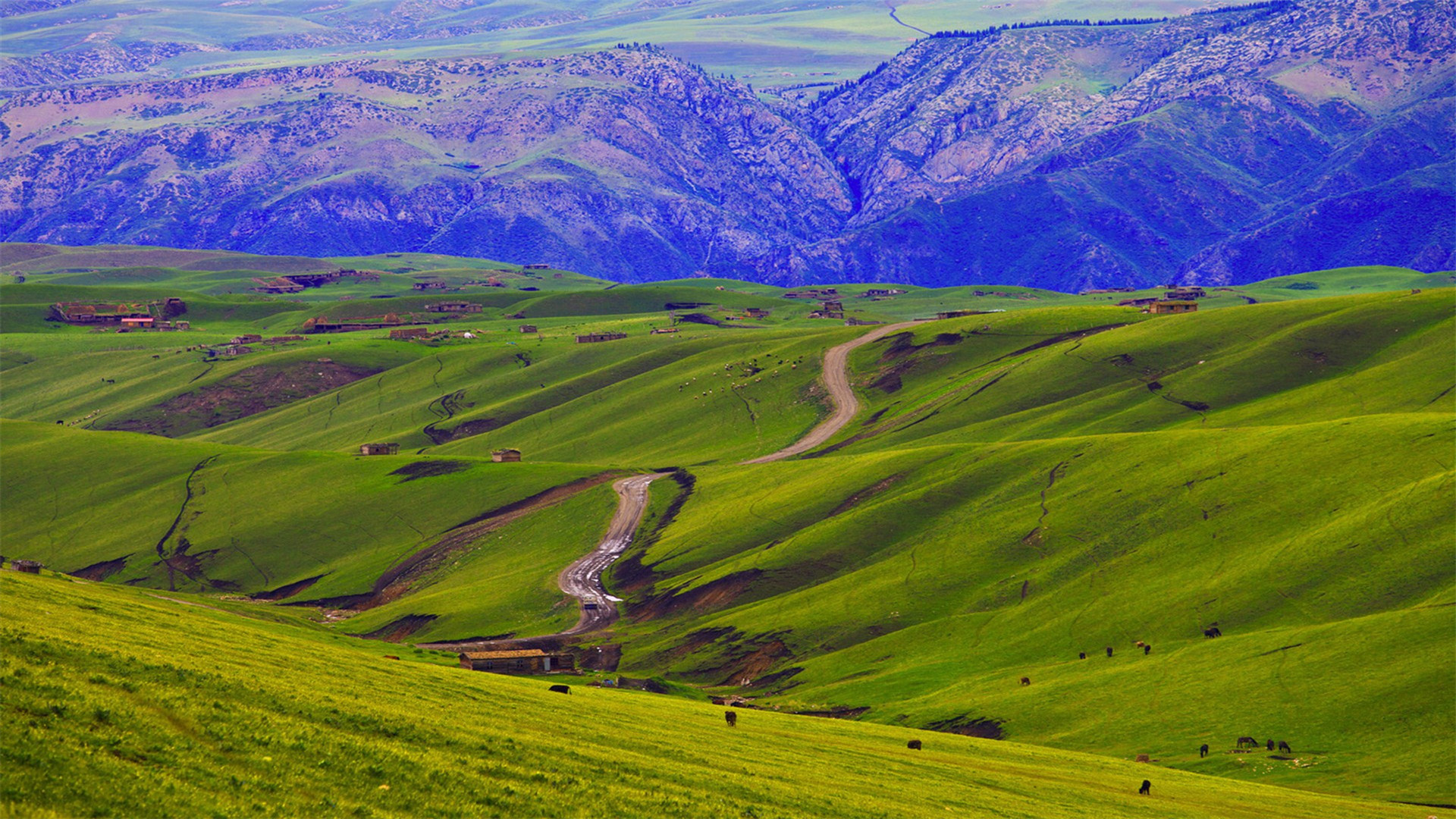 蓝色护眼壁纸唯美图片,最美的护眼桌面壁纸