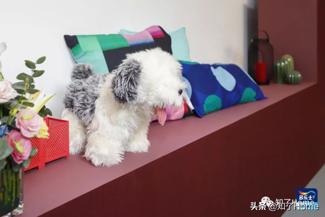 天下武功唯快不破踢腿视频,天下武功无坚不摧唯快不破