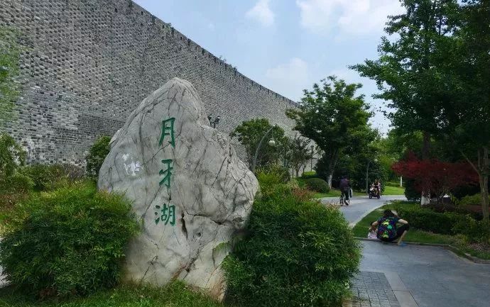 南京这些免费公园，让你任性玩个遍