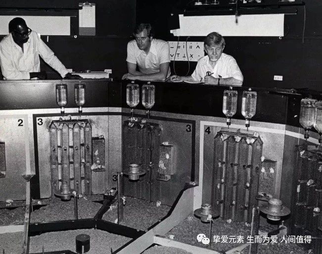 挚爱元素生而为爱人间值得