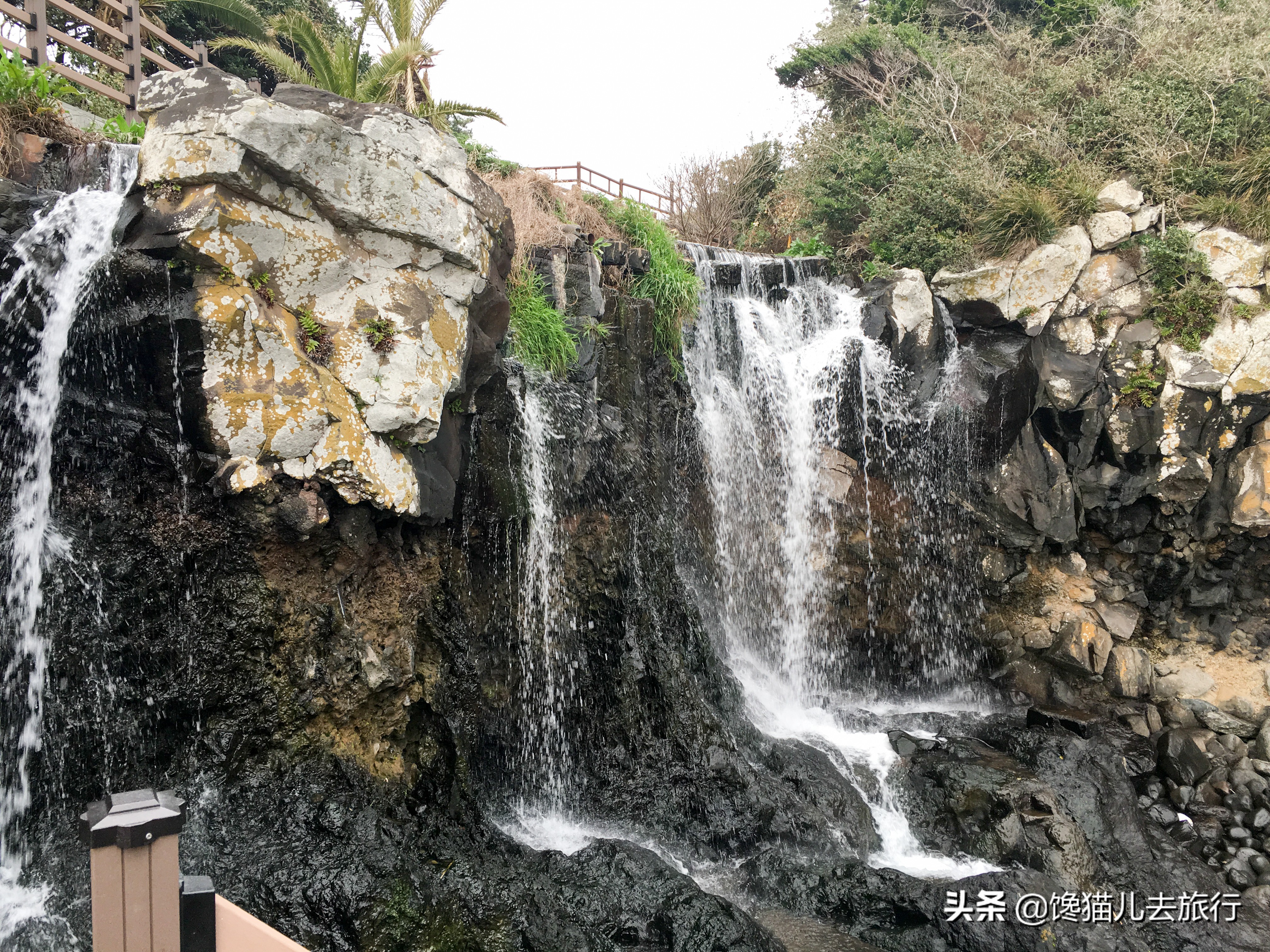 韩国人有多喜欢青岛,韩国人在韩国看对面的青岛