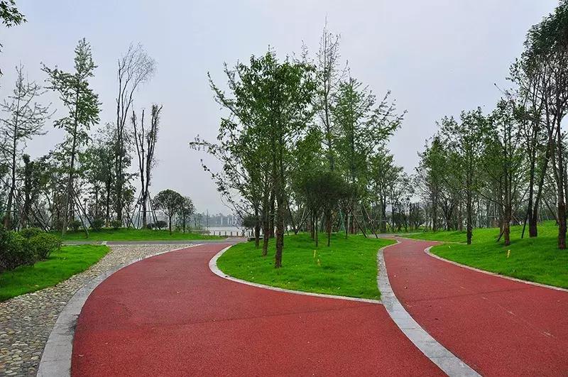 成都双流绿道,双流区绿道建设