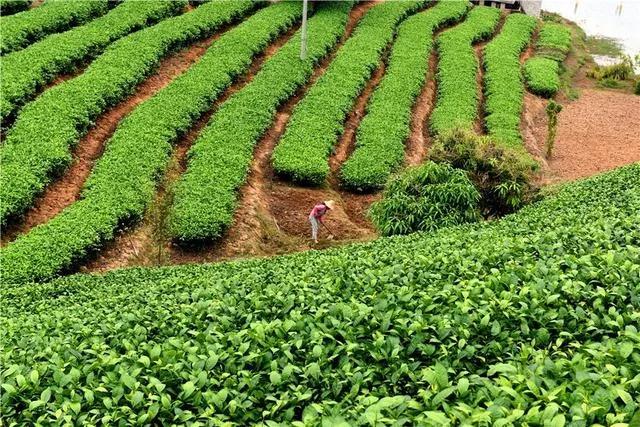 安徽最值得去的旅游目的地,这才是安徽值得打卡的十大旅行地