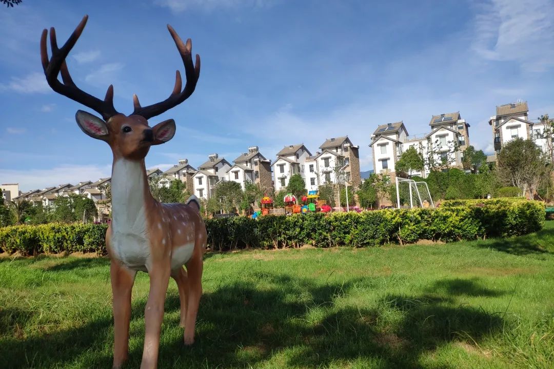 2021年大理佳利集团第七届短视频/摄影大赛火热进行中