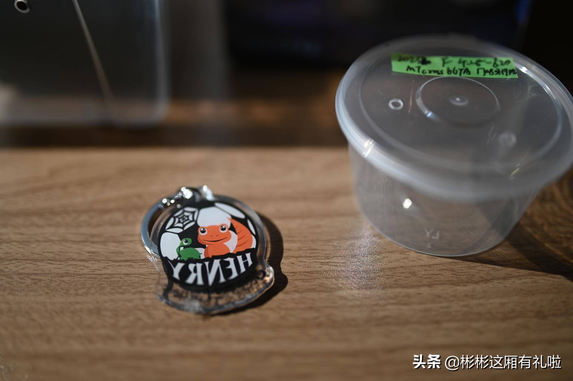 守宫新手养一只还是两只,守宫小白怎么养