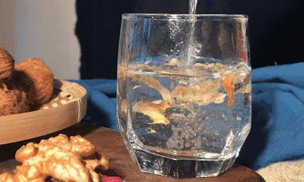 沧州市青皮核桃,甘肃买青皮核桃