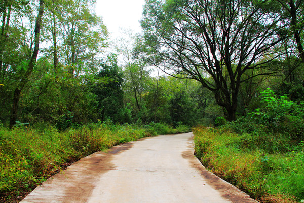 鄱湖之秋,鄱湖之滨信江之畔余干
