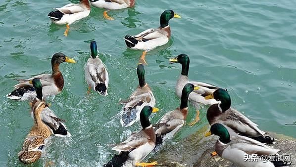 广东藏有7个小九寨沟,风景绝美却少为人知,每一个地方都迷人