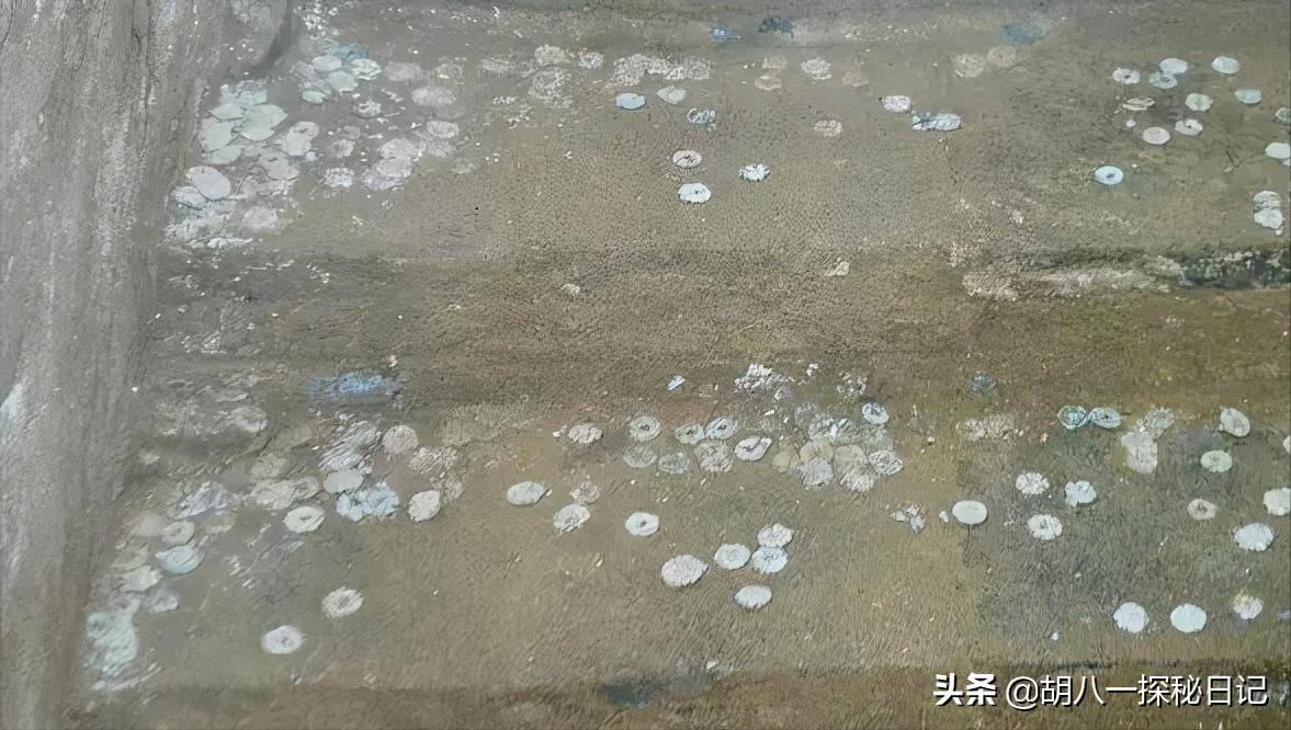 法门寺出土的绣裙竟是武则天,法门寺里武则天的石榴裙在哪里