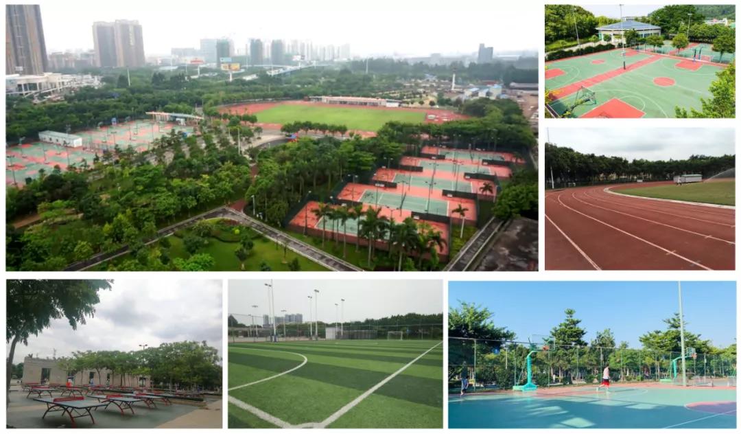 佛山市南海区桂城健康主题公园,桂城公园规划图