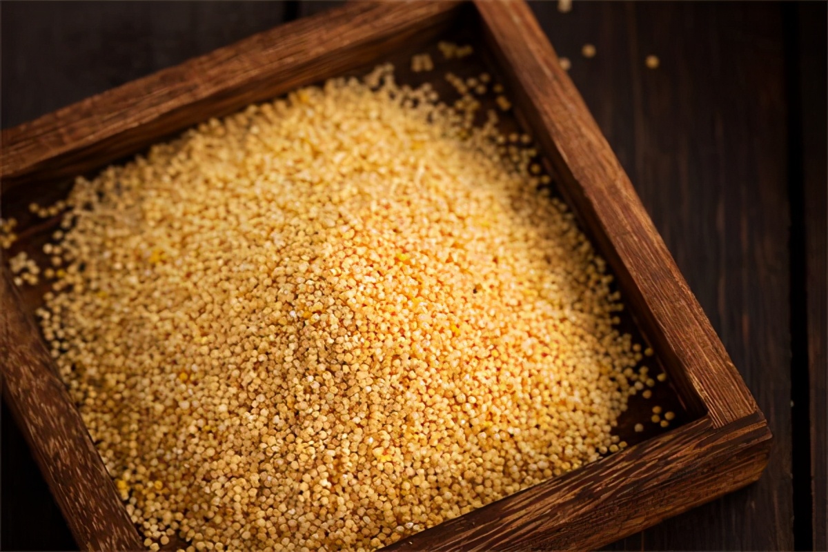 脾虚吃什么食物补身健脾最快,脾虚吃什么食物最补最快