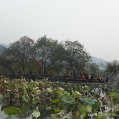 中国古村落宏村民居的建筑特色,安徽宏村古民居怎么介绍