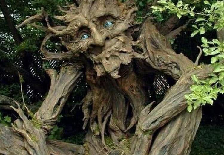 女孩子让我当树洞,女生说你把她当树洞