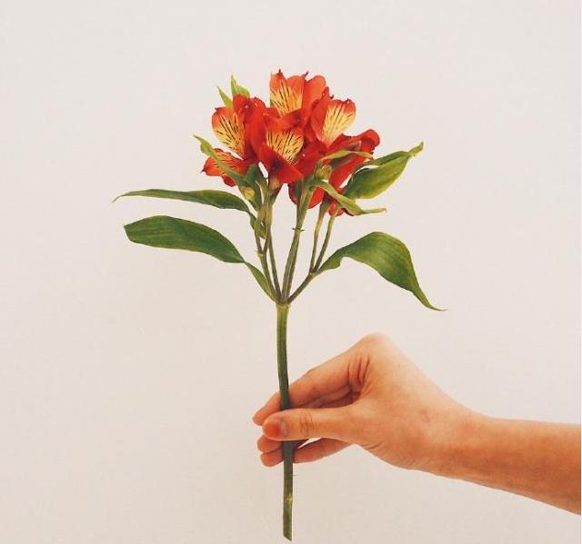 教师节祝词桃李满园,教师节桃李开满园