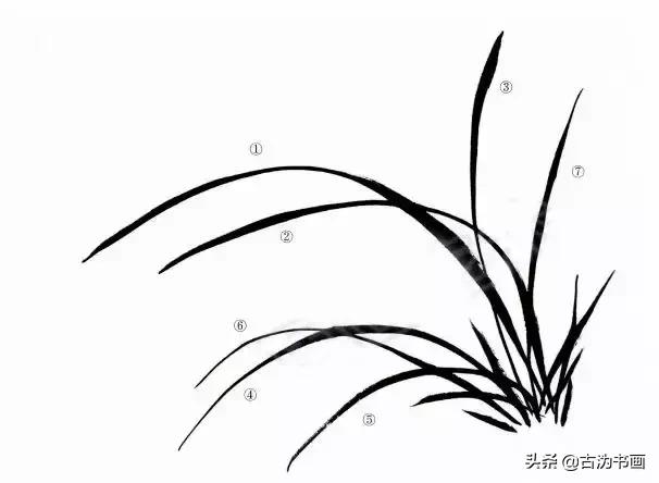 徐湛国画兰花技法教学,国画兰花入门技法