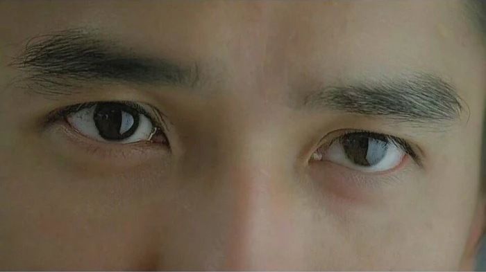 10天拥有明星般有神的眼睛，速收藏！（内附视频