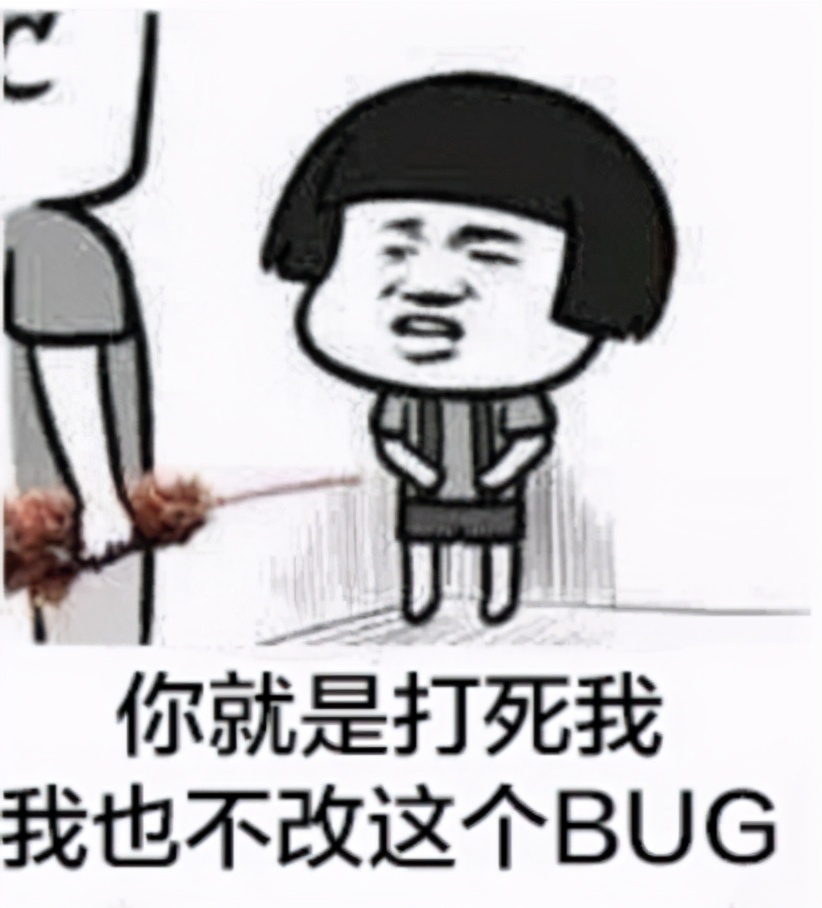 程序员解决bug的常用思路,令程序员崩溃的30个bug