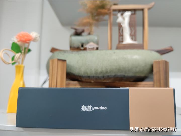 有道英语词典2.0要网络吗,有道词典笔3.0专业版怎么学英语