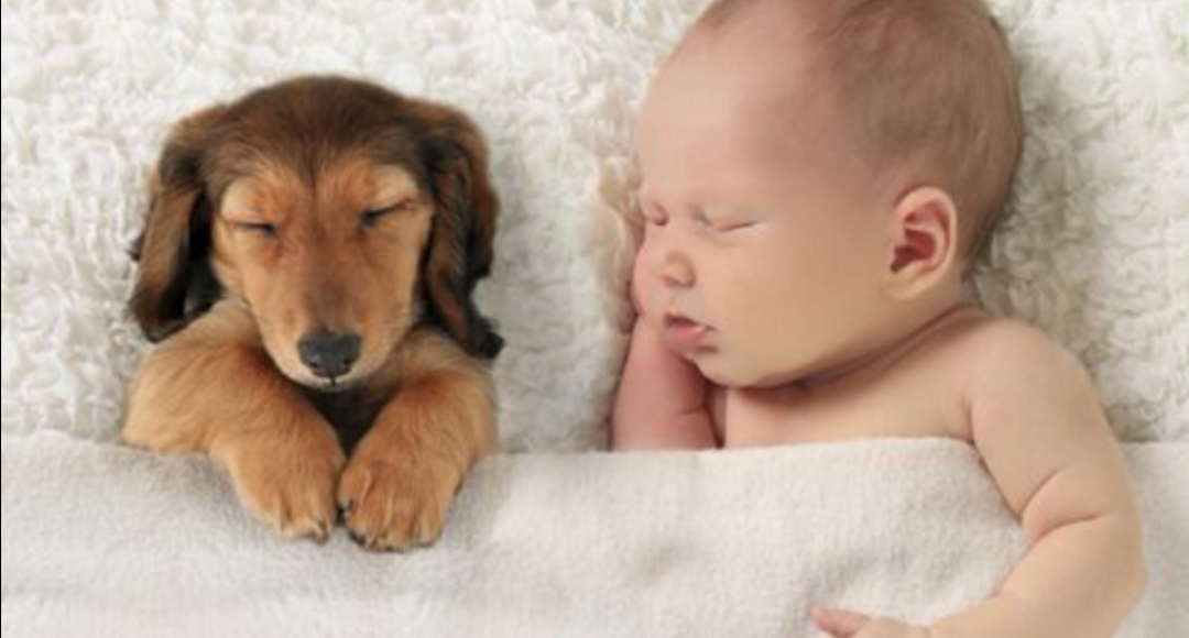 孩子晚上睡眠质量不好怎么改善,宝宝睡眠不好如何改善睡眠质量