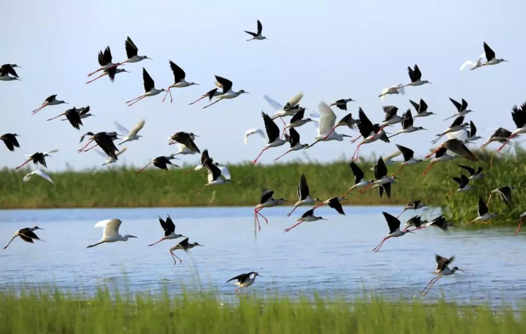 「992|动听河北」这片湖被称作“东亚蓝宝石”，竟是禹王治水留下的“禹迹”