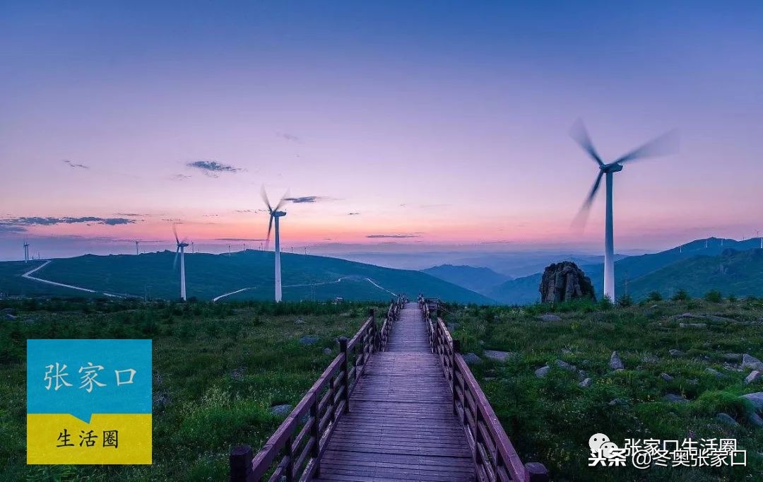 张家口最近有什么好消息,今日张家口新消息